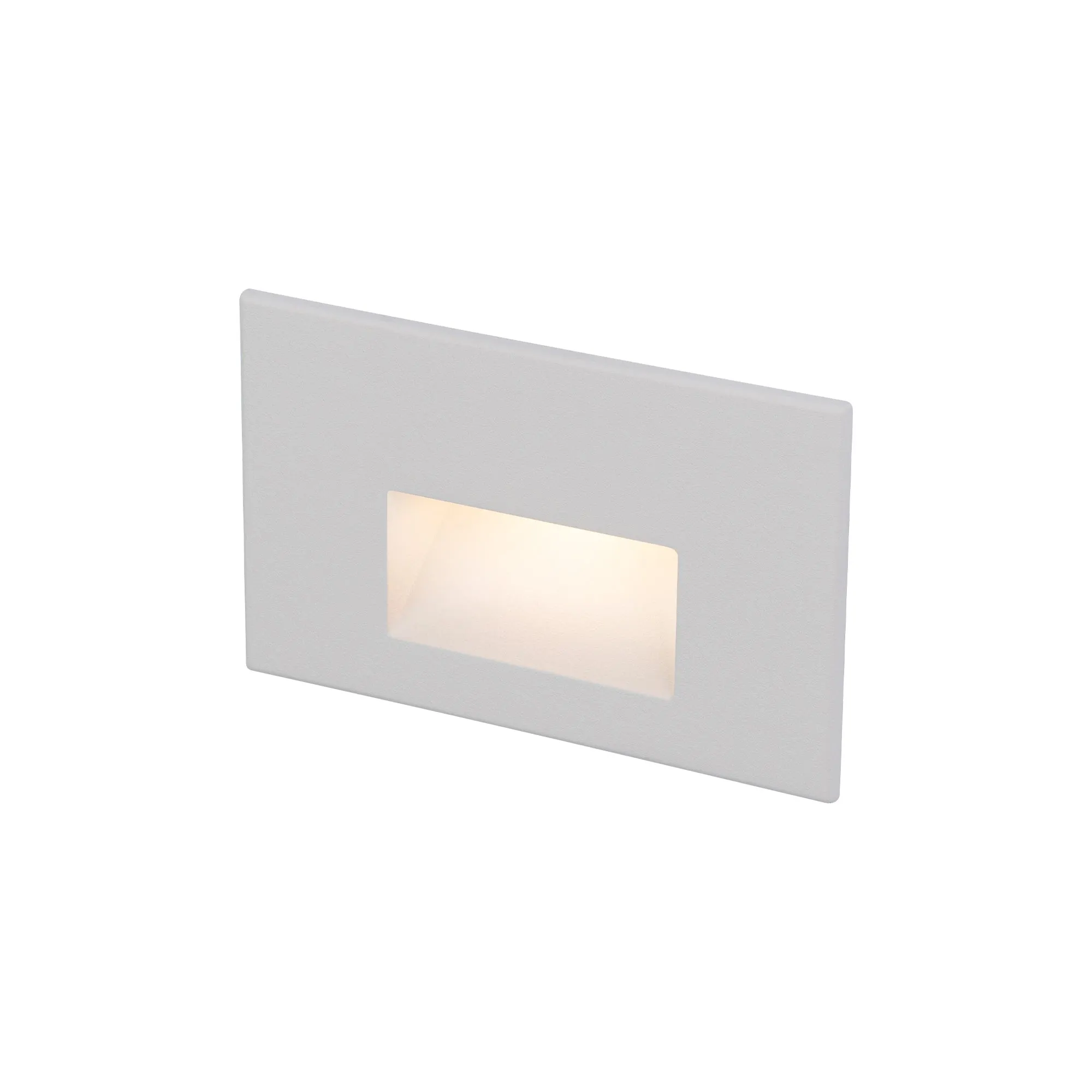 120V LED Horizontal Indoor/Outdoor Step and Wall Light